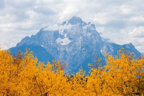 Branch;Branches;Cloud;Cloud Formation;Clouds;Grand Teton Mountains;Grand Tetons;Grand Tetons National Park;Herbaceous;Jackson Hole;Lower Falls;Mountain;Mountain Top;Mountainous;Mountains;Peak;Pinnacle;Plant;Precipice;Range;Sky;Summit;Tree;Tree Trunk;Trunk;United States;Weather;Wyoming;Yellowstone National Park;Yellowstone River;bark;trees