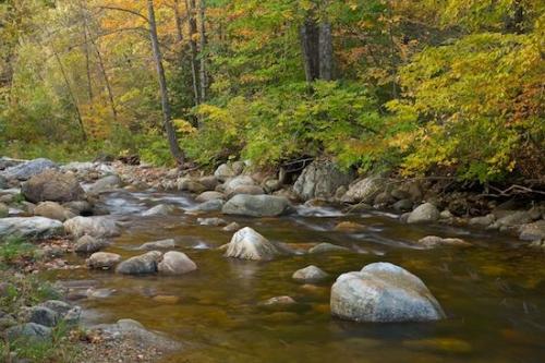 Autumn;flow;Gray;Brook;Rocky;river;Vermont;Brown;Tree;Boulders;Forest;Horizontal;Tan;Woodland;Pebbles;Woods;Creek;Rock;Rivulet;Stones;Trees;Stone;Gold;Green;Fall;Pebble;flowing;Rocks;Boulder;Stream;Streamlet;Yellow;water;leaves
