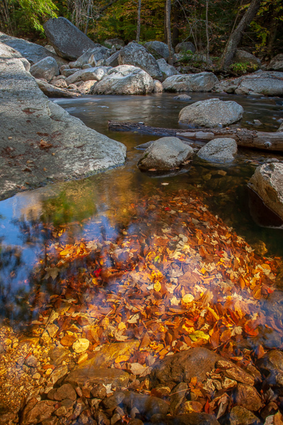 Autumn;Big Branch;Boulder;Boulders;Brook;Calm;Cascade;Cascading;Close-up;Creek;Fall;Fallen;Fallen Leaves;Flow;Forest;Forested;Healing;Health care;Healthcare;Leaf;Mirror;Nature;Pastoral;Pouring;River;Riverbed;Rivers;Rock;Rock formations;Rocks;Stone;Stones;Stream;Stream Bank;Sunlight;Sunshine;Tree;United States;Vermont;Wabi Sabi;Water;Waterscape;Woodland;flowing;foliage;landscape;leaves;oneness;peaceful;pool;rapids;reflection;reflections;restful;river bank;serene;soothing;sunlit;tranquil;trees;trunk;waterway;zen