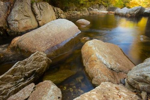 Fall;Riverbed;Stream;Reflection;Stones;Geology;Water;Reflections;Plant;Creek;River;Green;River Bed;Striation;Rock Formations;Tree;Streamlet;Vermont;Trunk;bark;Rocks;Stone;Rock;Branches;Tan;waterway;Brook;Tree Trunk;Rivers;Branch;Blue;Boulder;Herbaceous;Brown;Rivulet;Geological;Trees;Big Branch;Gold;Autumn;Yellow