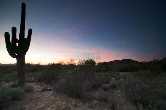 Arizona;Boulder;Cactus;Cliff;Desert;High;Ledge;Mountain;Mountain Top;Nature;Peak;Plants;Power;Powerful;Precipice;Rock Formations;Rocks;Scenic View;Scenics;Silhouette;Summit;Sunset;Vertical