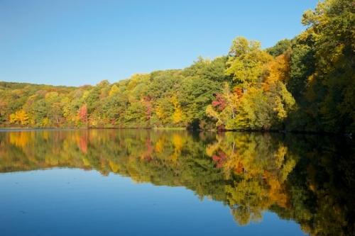 Tree;Autumn;Forest;Yellow;leaves;Red;Harriman State Park;water;lake;New York;Fall;Blue;pond;Green;Mirror;reflections;Trees