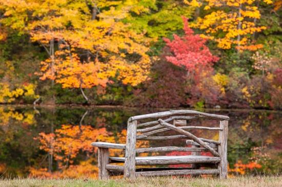 Autumn;Brown;Calm;Chair;Fall;Forest;Forested;Gold;Harriman State Park;Healing;Health care;Healthcare;Minimalism;Mirror;Nature;New York;Pastoral;Tan;Timber;Timberland;United States;Water;Waterscape;Wood;Woodland;Woods;bench;green;landscape;leaves;oneness;orange;peaceful;pool;red;reflection;reflections;restful;seating;serene;soothing;tranquil;trees;zen