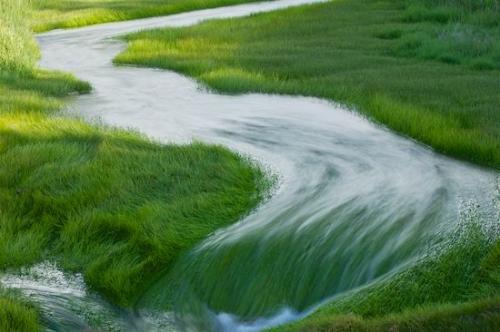 Wyoming;Green;flow;Abstract;water;Patterns;Abstractions;Yellowstone National Park;Creek;Streamlet;Shapes;Brook;Grass;Rivulet;flowing;Stream;Textures