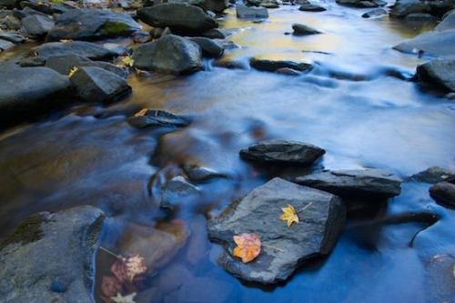 Foliage;Reflections;Rocks;Rock Formations;Shapes;Brook;Abstract;Chatsworth;Stone;Stones;Streamlet;Autumn;Striation;Georgia;Rivulet;Reflection;Patterns;Leaves;Stream;Textures;Abstractions;Holly Creek;Geology;Creek;Rock;Geological;Leaf;Chattahoochee National Forest;Holly Creek Preserve;Leafy;Fall