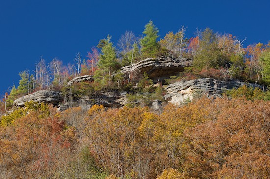Autumn;Big South Fork National Recreation Area;Blue;Bluff;Cliff;Crag;Escarpment;Fall;Forest;Green;Ledge;Orange;Pine;Precipice;Rock Face;Tennessee;Timber;Timberland;Wood;Woodland;Woodlands;Woods