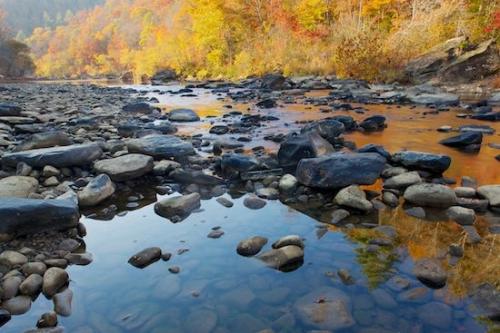 Reflections;waterway;Reflection;Red;Rivers;Range;Rock;Precipice;Pinnacle;Peak;Orange;Timberland;Mountainous;Mountain Top;Mountains;Mountain;Leaves;Leafy;Leaf;Green;Gold;Geology;Yellow;Geological;Wood;Forest;Foliage;Woodland;Brown;Creek;Stream;Brook;Black;Boulder;Fall;Tennessee;Water;Big South Fork National Recreation Area;Autumn;Summit;River Bed;Vein;Riverbed;Rock Formations;Striation;River;Woods;Timber;Woodlands;TN;Stone;Stones;Rocks