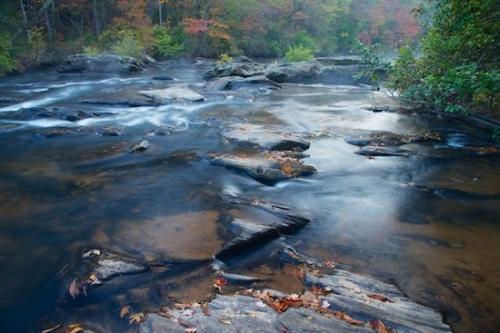 Tree Trunk;Rock;Geology;Plant;Brook;Stone;Herbaceous;Creek;Branch;Trees;River;Rushing;River Bed;Rock Formations;Water;Striation;Rivers;Stream;Bark;Georgia;White Water;Etowah River;Rocks;Fall;Tree;Trunk;Mist;Stones;Branches;Riverbed;Autumn;Geological;waterway