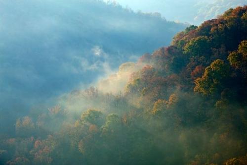 Textures;green;Outdoor;Daybreak;Woodlands;Aqua;Landscape;red;Timber;Sky;Vein;KY;Haze;Woodland;Break of Day;First Light;misty;Woods;Forest;gold;Precipice;Foggy;Leaf;Morning;Obscured;Mist;yellow;Leafy;Clouds;Abstract;Sun-up;Fog;Dawn;Blue;evergreen;Mountains;Peak;Kentucky;Timberland;Range;Pinnacle;Mountainous;Shapes;Mountain Top;Horizontal;Foliage;Summit;Cloud;concepts & emotions;Mountain;heavenly;Gray;Weather;Wood;Leaves;orange;Cloud Formation;Big South Fork National Recreation Area;Patterns;Abstractions