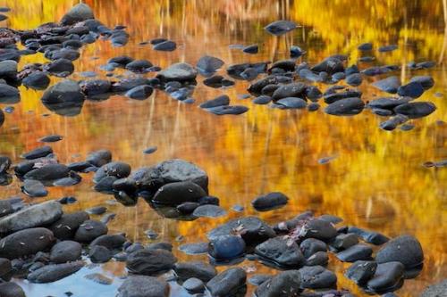 Stones;Boulder;Textures;Yellow;Patterns;River;Tennessee;Fall;Orange;Big South Fork National Recreation Area;Oneness;Abstract;Stone;Reflections;Autumn;Gold;Reflection;Rock;Stream;Gray;Boulders
