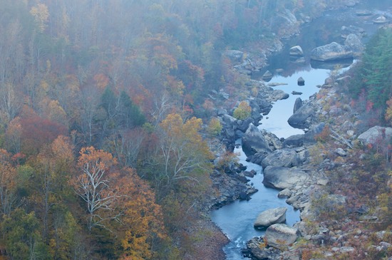 Autumn;Big South Fork National Recreation Area;Bluff;Brook;Cliff;Crag;Creek;Escarpment;Fall;Fog;Foggy;Forest;Gold;Gorge;Haze;Kentucky;Ledge;Mist;Misty;Obscured;Pine;Precipice;River;River Bed;Riverbed;Rivers;Rock Face;Stream;Timber;Timberland;water;Water;waterway;Wood;Woodland;Woodlands;Woods;Yellow