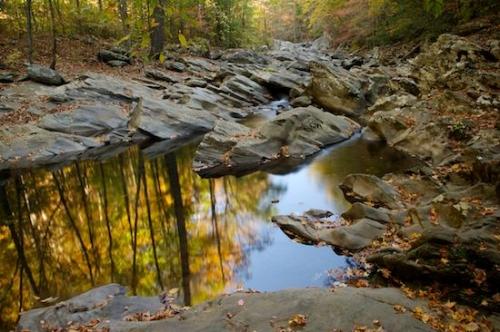 Chatsworth;Tree Trunk;Plant;Riverbed;Brook;Branches;Rock Formations;Stone;Geological;Stream;Bark;Striation;Creek;Herbaceous;Rivers;Trees;Stones;Water;Georgia;River;Rock;Fall Color;Trunk;Tree;Branch;waterway;Holly Creek;River Bed;Geology;Holly Creek Preserve;Rocks