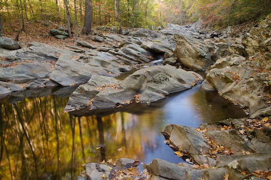 Autumn;Bark;Boulder;Branch;Branches;Brook;Chatsworth;Creek;Fall;Fall Color;Geological;Geology;Georgia;Herbaceous;Holly Creek;Holly Creek Preserve;Plant;River;River Bed;Riverbed;Rivers;Rock;Rock Formations;Rocks;Stone;Stones;Stream;Striation;Tree;Tree Trunk;Trees;Trunk;Water;water;waterway