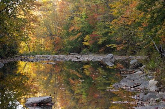 Autumn;Bark;Branch;Branches;Brook;Chattahoochee National Forest;Conasauga River;Creek;Fall;Georgia;Herbaceous;Jacks River;Plant;Reflection;Reflections;River;River Bed;Riverbed;Rivers;Stream;Tree;Tree Trunk;Trees;Trunk;Water;water;waterway