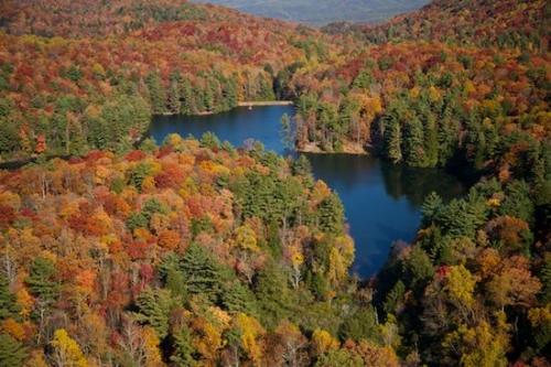 Water;Fall Scene;Plant;Trunk;Hilltop;Georgia;Hills;Lake;Holly Creek;Fall;Aerial;Sky;Branches;Green;Lake Conasauga;Orange;Red;Brown;Tree;Fall Color;Herbaceous;Autumn;Branch;Tree Trunk;Trees;Bark;Chattahoochee National Forest