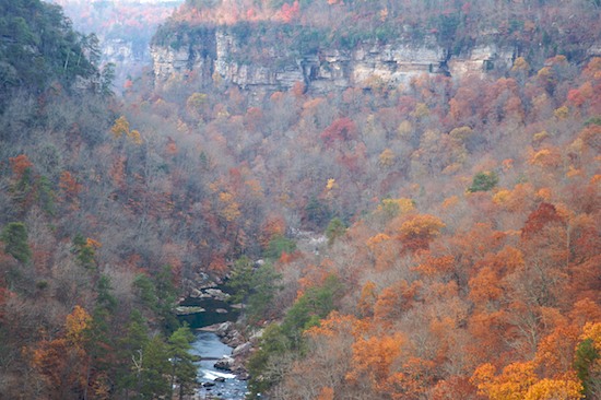 Alabama;Autumn;Bluff;Break of Day;Cliff;Crag;Dawn;Daybreak;Escarpment;Fall;First Light;Forest;Ledge;Little River Canyon National Preserve;Morning;Precipice;Rock Face;Seasons;Sun-up;Sunrise;Timber;Timberland;Wood;Woodland;Woods