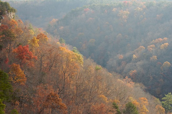 Alabama;Autumn;Bluff;Break of Day;Cliff;Crag;Dawn;Daybreak;Escarpment;Fall;First Light;Forest;Ledge;Little River Canyon National Preserve;Morning;Precipice;Rock Face;Seasons;Sun-up;Sunrise;Timber;Timberland;Wood;Woodland;Woods