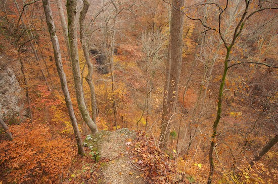 Bluff;Cliff;Crag;Escarpment;Forest;Ledge;Orange;Precipice;Rock Face;Short Springs State Natural Area;Tennessee;Timber;Timberland;Tullahoma;Wood;Woodland;Woodlands;Woods