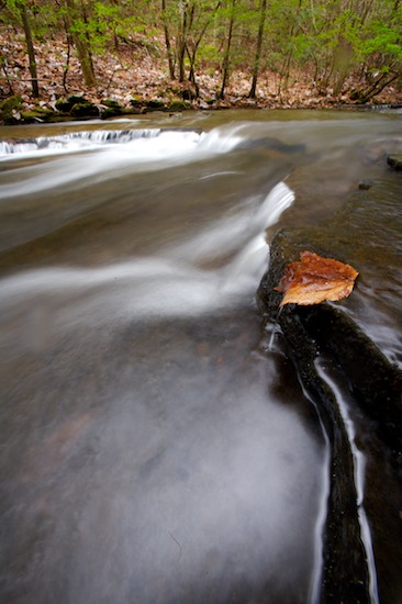 Autumn;Boulder;brook;Cascade;Cascading;Cataract;Chute;Cool;creek;Fall;Falling;Falls;Flow;Flowing;Geological;Geology;Leaf;Pouring;River;Riverbed;Rivers;Rock;Rock formations;Rocks;Spilling;Spray;Stone;Stream;stream;Striation;Water;Waterfall;Waterfalls;waterway;Wet