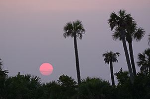 Silhouette;Sunset