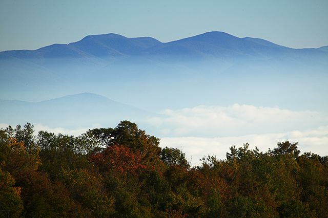 Valley;Cherohala Skyway;Clouds;Cliff;Mushrooms;Sky;Trees