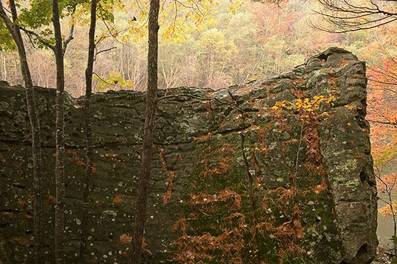 Nature;Tennessee