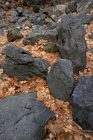 Colorful;Plants;Botanical;Leaf;Leaves;Vegetation;Foliage;Rocks;Rock Formations;Boulder