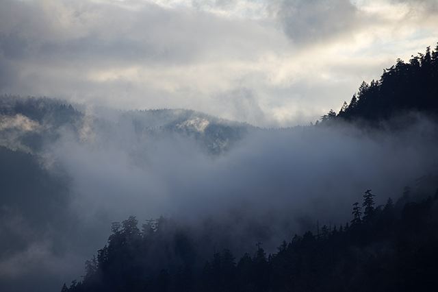 Ledge;Mountain;Cliff;Precipice;Peak;Mountain Top;Rock Formations;Rocks;Boulder;Nature;Vertical;High;Power;Powerful;Scenic View;Scenics;Summit;Cumberland Plateau;Canyon;Bluff;Rock Face;Sheer;Steep;Colorful;Plants;Botanical;Leaf;Leaves;Vegetation;Foliage;Clouds;Fog;Mist