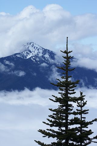 Ledge;Mountain;Cliff;Precipice;Peak;Mountain Top;Rock Formations;Rocks;Boulder;Nature;Vertical;High;Power;Powerful;Scenic View;Scenics;Summit