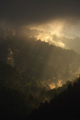 Sunset;Dusk;Twilight;evening;Nightfall;Sundown;Sunlight;Sun;Beams;Sunbeam;Rays;Light;Luminance;Illuminate;Ledge;Mountain;Cliff;Precipice;Peak;Mountain Top;Rock Formations;Rocks;Boulder;Nature;Vertical;High;Power;Powerful;Scenic View;Scenics;Summit;Forest;Trees;Leaves;Leaf;Plants;Woods;Bark;Outdoors;Natural;Woodland;Clouds;Fog;Mist