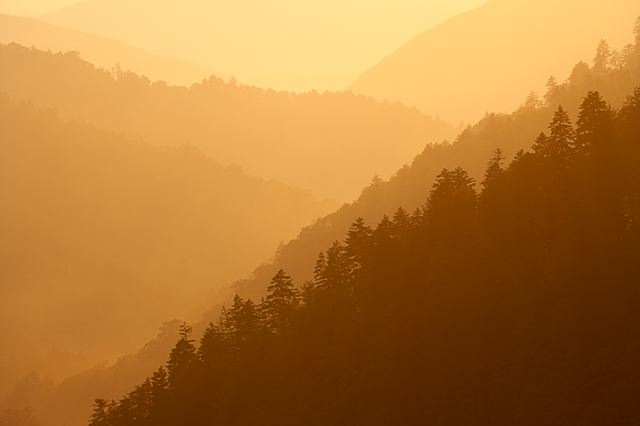 Sunset;Dusk;Twilight;Evening;Nightfall;Sundown;evening;Forest;Trees;Leaves;Leaf;Plants;Woods;Bark;Outdoors;Nature;Natural;Woodland;Ledge;Mountain;Cliff;Precipice;Peak;Mountain Top;Rock Formations;Rocks;Boulder;Vertical;High;Power;Powerful;Scenic View;Scenics;Summit