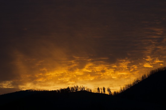 Break of Day;Cloud;Cloud Formation;Clouds;Dawn;Daybreak;First Light;Morning;Orange;Sky;Sun-up;Tree;Trees;Weather;Wyoming;Yellowstone National Park