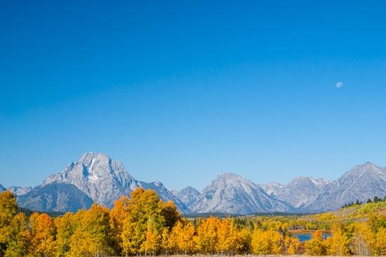 Autumn;Blue;Branches;Calm;Fall;Forest;Forested;Grand Tetons National Park;Healing;Health care;Healthcare;Moon;Mountain;Mountain Side;Mountain Top;Mountainous;Nature;Pastoral;Summit;Timber;Timberland;Tree;United States;West Yellowstone;Wood;Woodland;Woods;Wyoming;Yellow;Yellowstone;Yellowstone National Park;green;landscape;leaves;oneness;orange;oxbow bend grand tetons;peaceful;plants;restful;serene;sky;soothing;tranquil;tree limbs;trees;zen