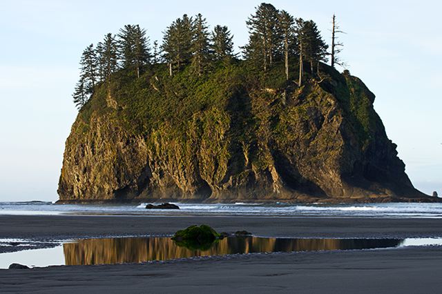 Ocean;Beach;Waves;Shore;Shoreline;Sand;Wet;Water;Sandy;Sea