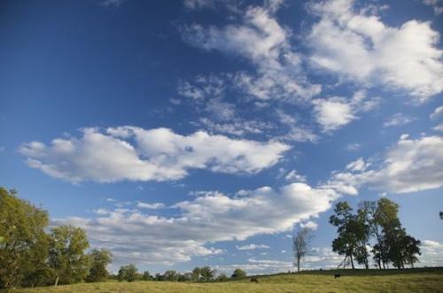 White;Williamson County;Cloud;Sky;Blue;Clouds;Weather;Cloud Formation