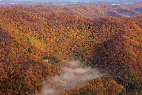 Tree;Wood;Morning;Pine Mountain;misty;Woodlands;Foggy;Obscured;Brown;Orange;Woodland;Fall;Fog;Hill;Tan;Benham;Kentucky;Autumn;Dawn;Sun-up;Mountains;Yellow;Leaves;Green;Gold;Timberland;Foliage;Trees;Leaf;Forest;Wooded area;Woods;Daybreak;Mountain;Mountainous;Red;First Light;Landscape;Mist;Hills;Mountain Top;Haze;Timber;Kingdom Come State Park;Break of Day