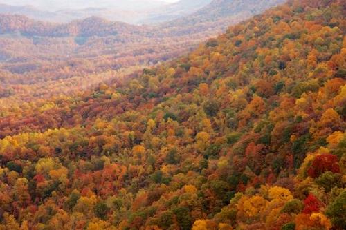 Benham;Autumn;Yellow;Woods;Woodlands;Woodland;Wooded area;Fall;Valley;trees;Trees;Wood;tree trunk;tree;Tree;Timberland;Timber;Tan;Summit;Pine Mountain;Mountainside;Mountains;Mountainous;Mountain Top;Mountain;leaves;Kingdom Come State Park;Kentucky;Hilltop;Hillside;Green;Gorge;Gold;Hills;Forest