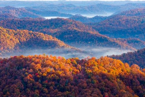 Autumn;Benham;Break of Day;Brown;Color;Dawn;Daybreak;Fall;First Light;Foliage;Forest;Gold;Gorge;Green;Hill;Hills;Hillside;Hilltop;Image type;Kentucky;Kingdom Come State Park;Landscape;Leaf;Leaves;Mist;Morning;Mountain;Mountain Top;Mountainous;Mountains;Mountainside;Obscured;Orange;Photo specs;Pine Mountain;Plants;Red;Summit;Sun-up;Tan;Timber;Timberland;Tree;United States;Valley;Wood;Wooded area;Woodland;Woodlands;Woods;Yellow;fog;foggy;haze;misty;trees