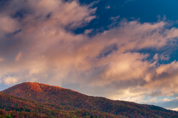 Autumn;Blue;Bluff;Calm;Fall;Forest;Forested;Great Smoky Mountains National Park;Healing;Health care;Healthcare;Hill;Looking up;Mountain;Mountain Side;Mountain Top;Mountainous;Nature;Pastoral;Summit;Sunlight;Sunshine;Tennessee;Timber;Timberland;Wood;Woodland;Woods;hillside;landscape;leaves;oneness;orange;peaceful;red;restful;serene;soothing;sunlit;tranquil;trees;zen