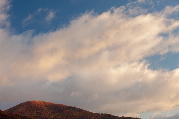 Autumn;Blue;Bluff;Calm;Fall;Forest;Forested;Great Smoky Mountains National Park;Healing;Health care;Healthcare;Hill;Looking up;Mountain;Mountain Side;Mountain Top;Mountainous;Nature;Pastoral;Summit;Sunlight;Sunshine;Tennessee;Timber;Timberland;Wood;Woodland;Woods;hillside;landscape;leaves;oneness;orange;peaceful;red;restful;serene;soothing;sunlit;tranquil;trees;zen