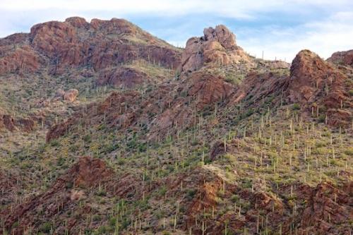 Brown;Clouds;Mountain;cacti;Bluff;Mountain Top;Mountains;Rocks;Peak;Sky;Blue;Boulder;Red;Range;White;Pinnacle;Hillside;Arizona;cactus;Rocky;Summit;Cloud;Geological;Green;Tan;Rock;Boulders;Cloud Formation;Rock Formations;Rock Face;Mountainside;cliff;Gates Pass;Mountainous;Weather;Precipice