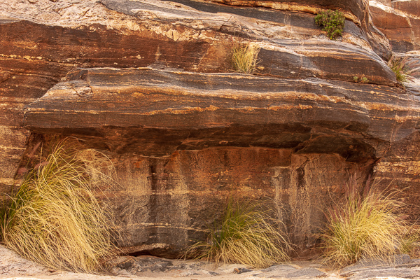 Arizona;Bluff;Botanical;Boulder;Boulders;Brown;Calm;Geological;Geology;Gold;Healing;Health care;Healthcare;Minimalism;Nature;Pastoral;Rock;Rock Face;Rock formations;Rocks;Rocky;Sabino Canyon;Stone;Stones;Tan;Wabi Sabi;Yellow;botanicals;cliff;desert;foliage;grass;green;landscape;leaves;oneness;orange;peaceful;red;restful;serene;soothing;striation;tranquil;zen