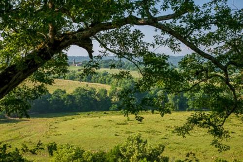 Agricultural;Barn;Farm;Farming;Field;Green;Hay;Healing;Health care;Healthcare;Hill;Hillside;Landscape;Natchez Trace Parkway;Nature;Oneness;Orange;Pastoral;Peaceful;Red;Summer;Summertime;Tan;Tree;Trees;Yellow;calm;hilly;pasture;restful;serene;silo;soothing;tranquil;tree limbs;zen