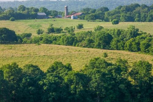 Agricultural;Barn;Farm;Farming;Field;Green;Hay;Healing;Health care;Healthcare;Hill;Hillside;Landscape;Natchez Trace Parkway;Nature;Oneness;Orange;Pastoral;Peaceful;Red;Summer;Summertime;Tan;Tree;Trees;Yellow;calm;hilly;pasture;restful;serene;silo;soothing;tranquil;tree limbs;zen