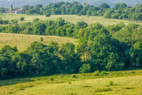 Agricultural;Barn;Farm;Farming;Field;Green;Hay;Healing;Health care;Healthcare;Hill;Hillside;Landscape;Natchez Trace Parkway;Nature;Oneness;Orange;Pastoral;Peaceful;Red;Summer;Summertime;Tan;Tree;Trees;Yellow;calm;hilly;pasture;restful;serene;silo;soothing;tranquil;tree limbs;zen