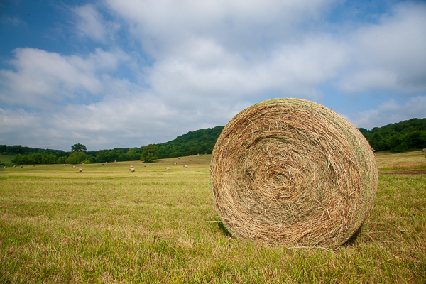 Agricultural;Agriculture;Bale;Blue;Calm;Cloud;Cloud Formation;Clouds;Cloudy;Farm;Farming;Gold;Healing;Health care;Healthcare;Image type;Landscape;Nature;Pastoral;Photo specs;Sunlight;Sunshine;Tan;Yellow;field;green;hay;landscape;oneness;pasture;peaceful;restful;serene;sky;soothing;sunlit;tranquil;zen