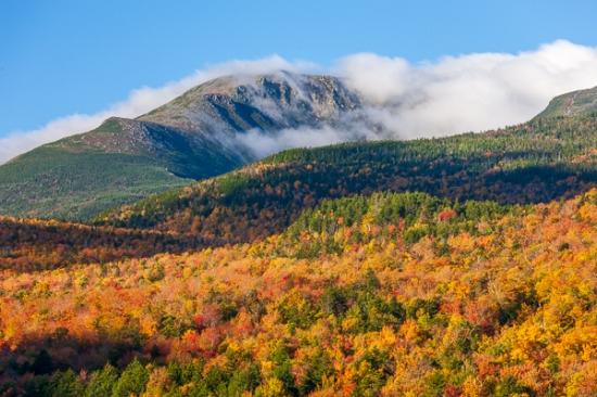 Autumn;Blue;Blues;Cloud;Cloud Formation;Clouds;Cool Colors;Cool Palette;Cool Tones;Fall;Fog;Forest;Forested;Hill;Mist;Mount Washington;Mountain;Mountain Top;Mountainous;Mountains;Nature;New England;New Hampshire;Obscured;Pastoral;Peak;Pinnacle;Precipice;Range;Seasons;Summit;Timber;Timberland;Weather;White;Wood;Woodland;Woods;Yellow;blue;color;foggy;green;haze;hillside;landscape;leaves;mist;misty;oneness;orange;peaceful;serene;sky;soothing;tranquil;trees;zen