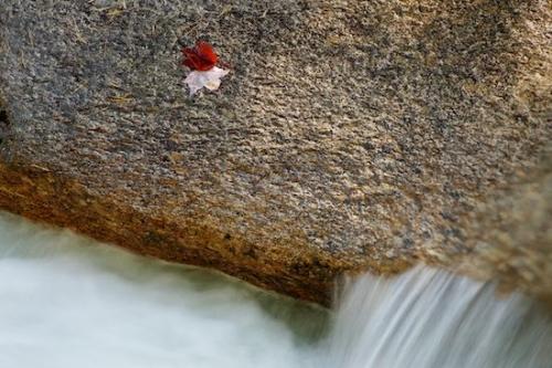 Stone;Leaves;Water;Waterfall;Falls;Chute;Waterfalls;Stream;New Hampshire;Fallen Leaves;Pouring;Leaf;Boulder;Stones;New England;Fallen;Boulders;Cascade;Streaming;Cascading