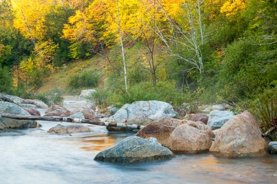 Autumn;Boulder;Boulders;Branches;Calm;Cascade;Cascading;Creek;Fall;Falls;Flow;Forest;Forested;Healing;Health care;Healthcare;Nature;New England;New Hampshire;Pastoral;Pebbles;Pouring;River;Rock;Rock formations;Rocks;Stone;Stones;Stream;Stream Bank;Streaming;Sunlight;Sunshine;Timber;Timberland;Tree;Vein;Water;Waterfalls;Waterscape;Wood;Woodland;Woods;branch;flowing;foliage;green;landscape;leaves;limbs;oneness;peaceful;plants;rapids;reflection;reflections;restful;river bank;serene;soothing;sunlit;tranquil;tree limbs;tree trunk;trees;zen