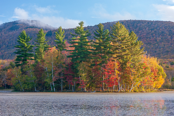 Autumn;Blue;Branches;Brown;Calm;Cloud;Cloud Formation;Clouds;Fall;Fog;Forest;Forested;Healing;Hill;Leaf;Minimalism;Mist;Mountain;Mountain Side;Mountain Top;Mountainous;Nature;New England;Pastoral;Summit;Sunlight;Sunshine;Tan;Timber;Timberland;Tree;United States;Vermont;Water;Waterscape;Wood;Woodland;Woods;Yellow;foggy;foliage;green;haze;hillside;lake;landscape;leaves;mist;misty;oneness;orange;peaceful;plants;red;reflection;reflections;restful;serene;sky;soothing;sunlit;tranquil;tree limbs;trees;zen